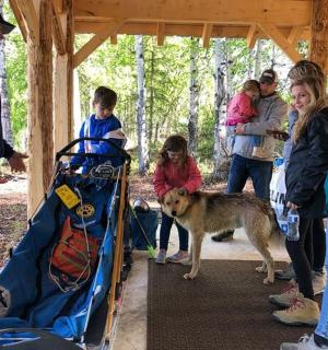 a group of people and a dog in a tent