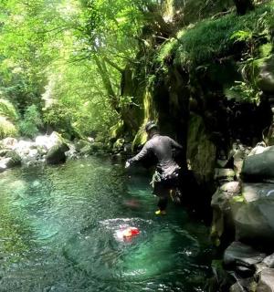 一名男子站在树林里的一条小溪里