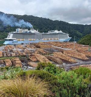 a cruise ship docked at a dock with a cruise ship