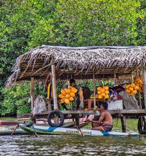 a boat with a fruit stand on the water