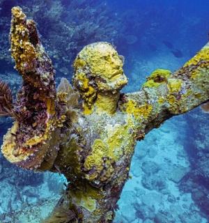 žena v oceánu s rukama ve vodě