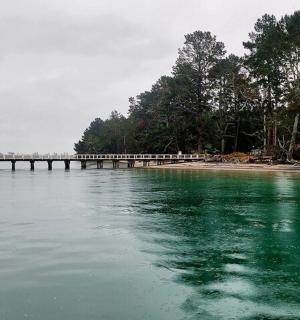 velká vodní plocha s molem a stromy