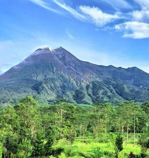 a mountain in the distance with trees in front of it