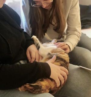 pár lidí držících kočku na klíně