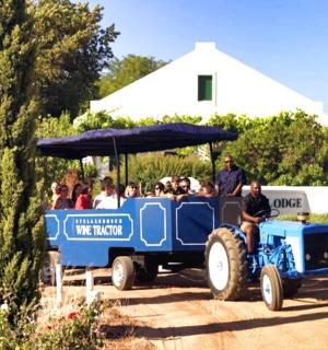 一群人乘坐蓝色火车