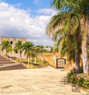 חצר עם עצי דקל ובניין