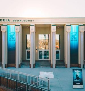 budova s modrými sloupy před budovou