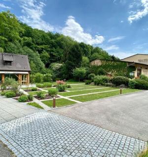 有花园和车道的房子