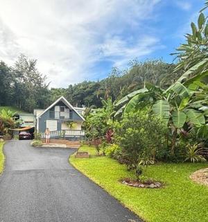 通往树木繁茂的房屋的车道