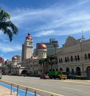 budova s palmou před ulicí