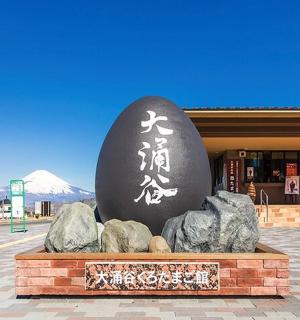 建筑物前的鸡蛋雕像