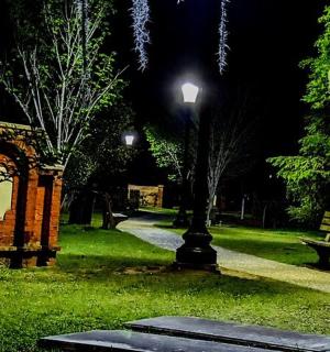 a park at night with a bench and a street light