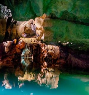 水池中木头的倒影