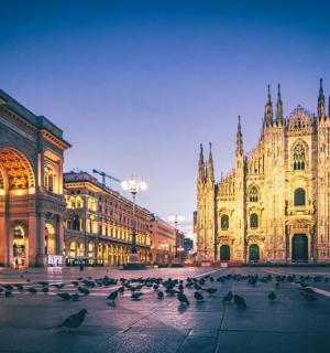 大楼前的一群鸽子