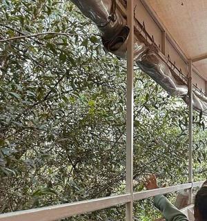 一群人站在栅栏旁边