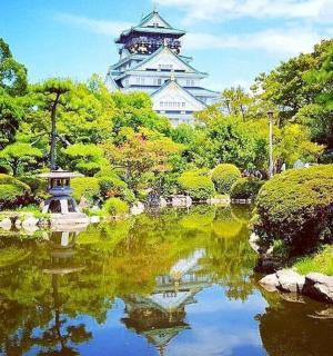 建筑物前有池塘的花园