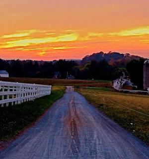 droga gruntowa pośrodku pola z zachodem słońca