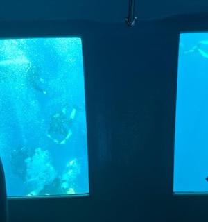 一位女士正在观赏水族馆里的鱼