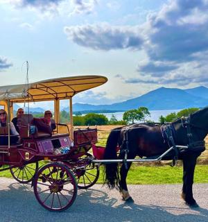 一群人乘坐马车