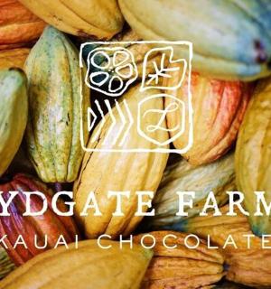 detailní záběr na mnoho různých druhů ovoce a zeleniny