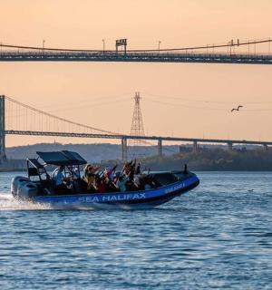 a blue boat in the water near a bridge