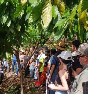 一群人站在森林里