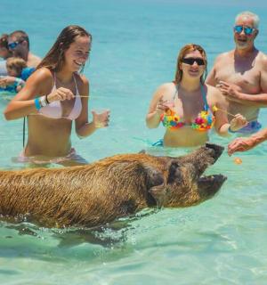 a group of people in the water with a bear