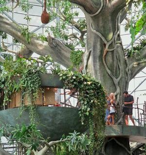 strom v budově s lidmi stojícími kolem něj