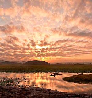 pták letící nad vodní plochou při západu slunce