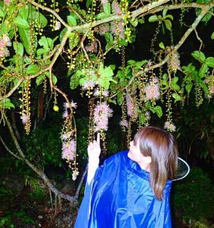 a woman is looking up at a tree with flowers