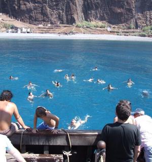 一群人在水中游泳