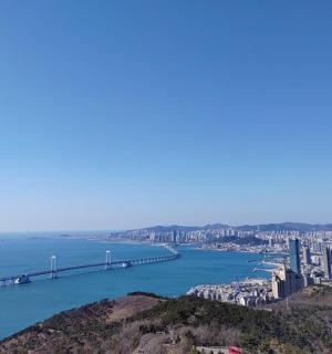 一座横跨水桥的城市景观