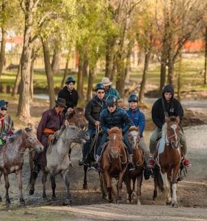 a group of people riding horses on a path