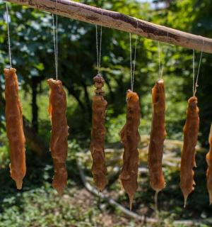 a bunch of hot dogs hanging on a tree branch