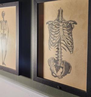 架子上挂着一幅人体骨骼的相框