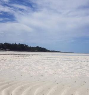 a sandy beach with tracks in the sand