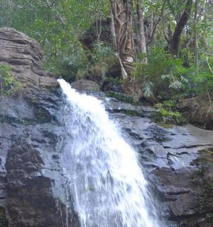 a waterfall on the side of a mountain with trees