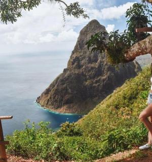 žena stojící vedle stromu u oceánu