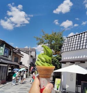 a person holding an ice cream in a cone