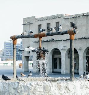 fontána s ptáky sedícími na ní před budovou