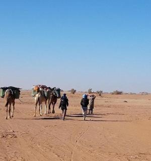 a group of people walking in the desert with camels