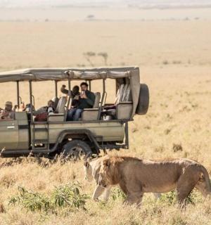 a group of people in a safari vehicle with a lion