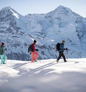 three people on skis in the snow with a mountain