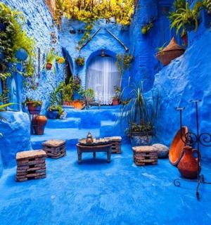 一间蓝色的房间，里面有一张桌子和一些植物