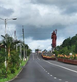 一条空旷的道路，路边有树