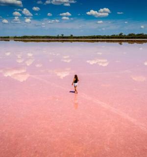 一位女士站在粉色湖泊的中央