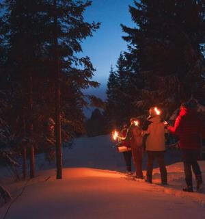 一群人站在雪地里,手里拿着灯