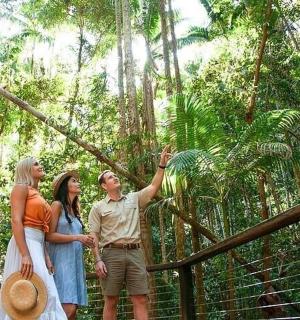 一群人站在森林里