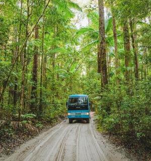 a blue truck driving down a dirt road in a forest