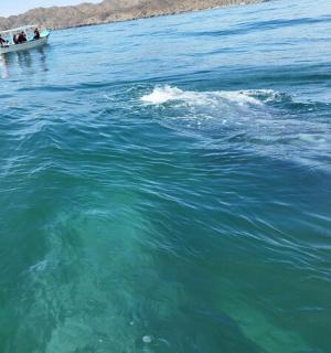 a group of people in a boat in the water